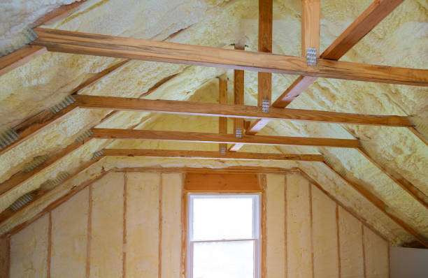 Best Geographic-Specific Insulation Services in Coyne Center, IL