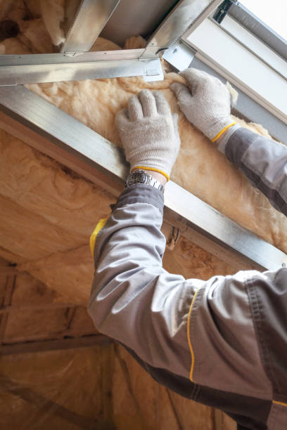 Best Spray Foam Insulation in Coyne Center, IL