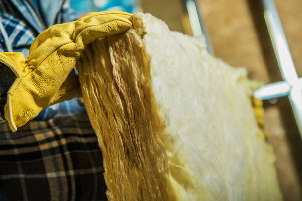 Best Commercial Insulation in Coyne Center, IL